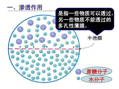 扩散作用|扩散和渗透的异同有哪些？